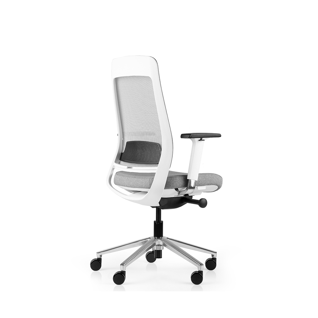 Inwerk Teamo® Original - Ergonomischer Bürostuhl, Weiß/Grau