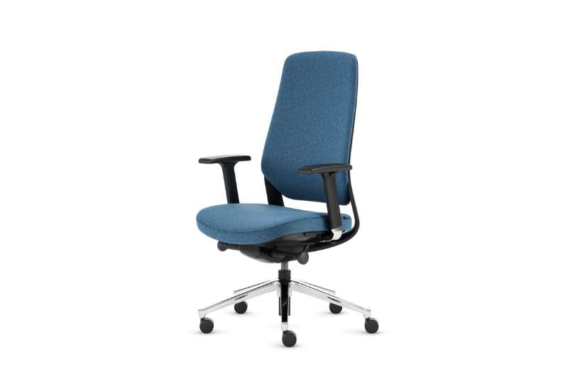 Teamo® Plush - Ergonomischer Bürostuhl, Vollpolster, Schwarz/Blau